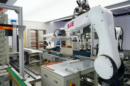 賽意信息2020年度業(yè)績說明會 智能制造業(yè)務(wù)高速增長，研發(fā)投入驅(qū)動智能機(jī)器人創(chuàng)新發(fā)展